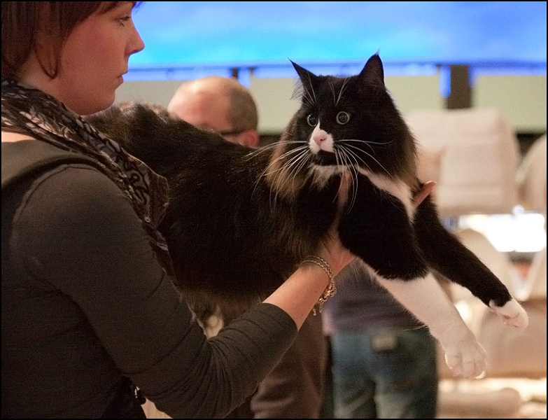 Inconnu 4.jpg - Inconnu